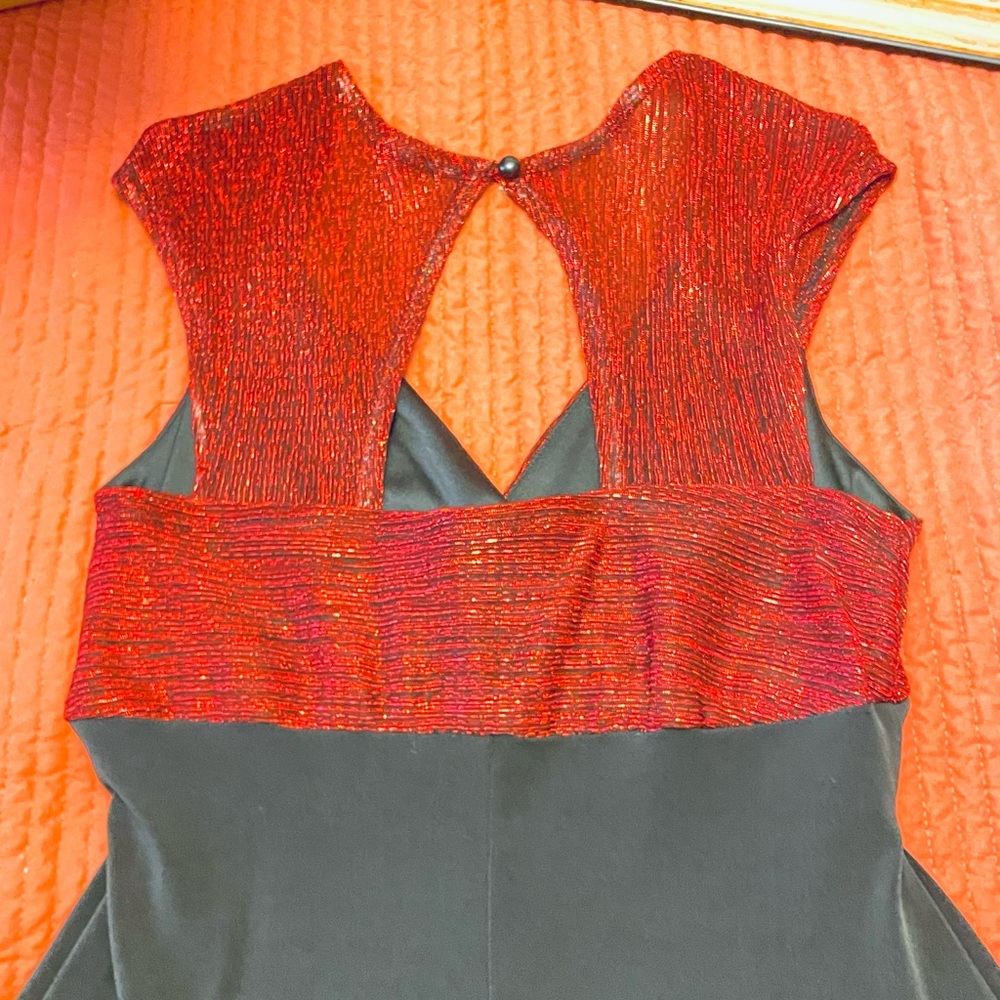 Great dress for the holidays. - Picture 4 of 7
